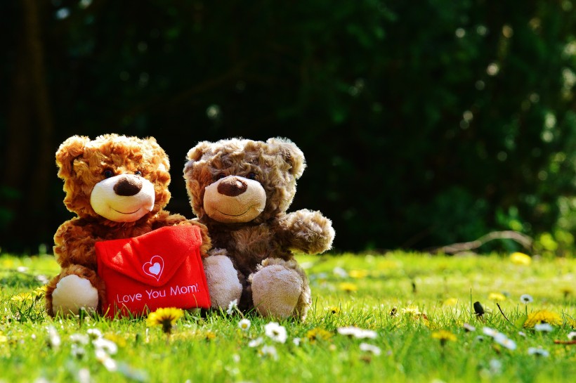 点击大图看下一张：可爱的泰迪熊玩具图片