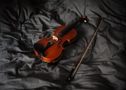典雅的小提琴图片_12张