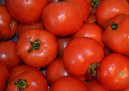 鲜红的西红柿图片_12张