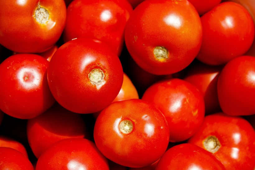 点击大图看下一张：鲜红的西红柿图片