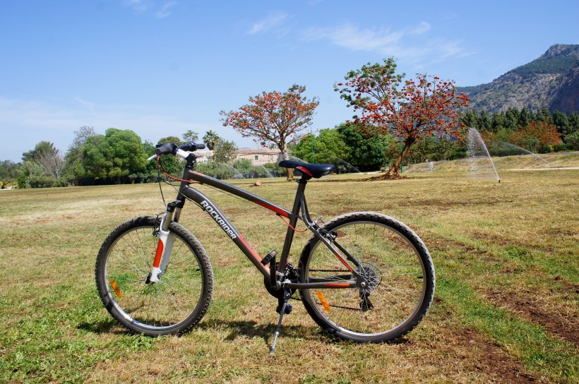 点击大图看下一张：草地上的自行车图片