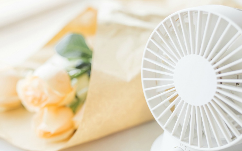 点击大图看下一张:可爱简约静物小清新壁纸