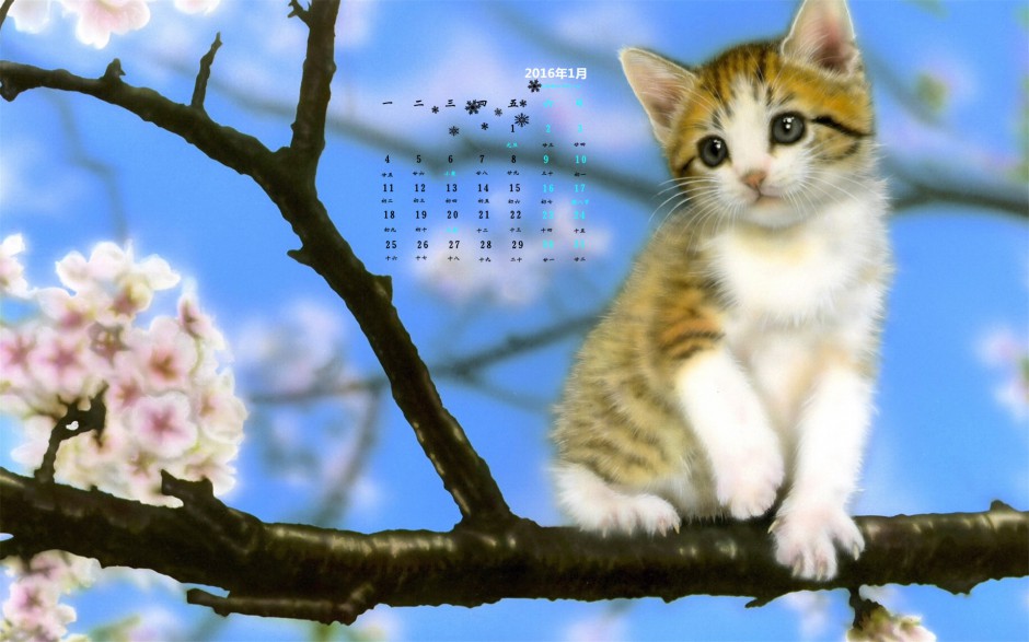 点击大图看下一张：十二月日历动物精美苹果壁纸