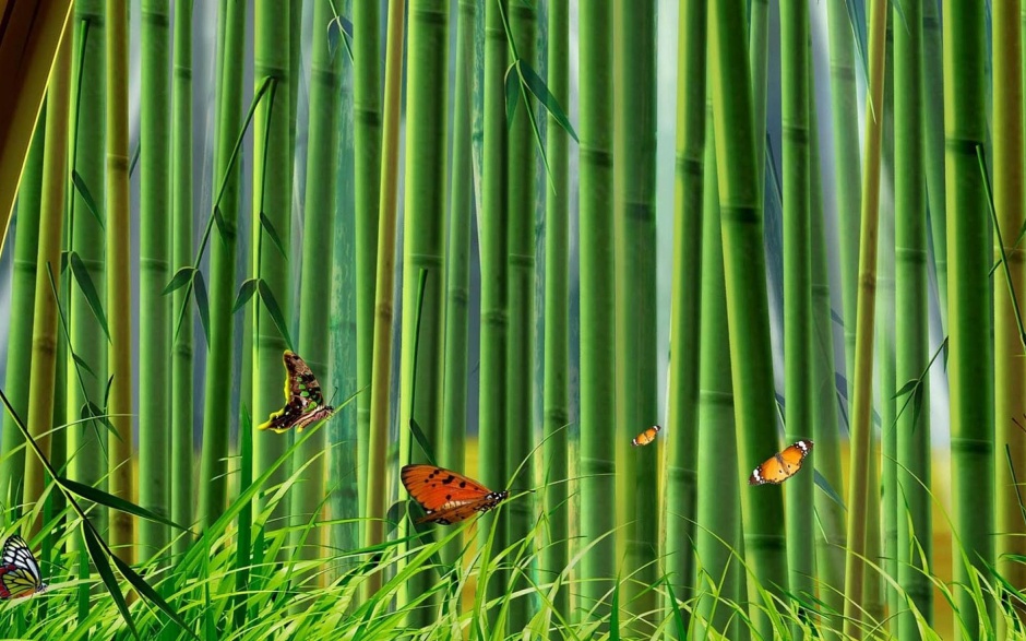 点击大图看下一张：绿色清新的竹子桌面壁纸