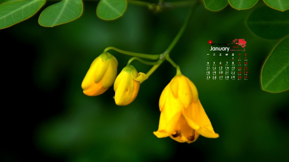 点击大图看下一张：有日历的小清新花卉桌面壁纸