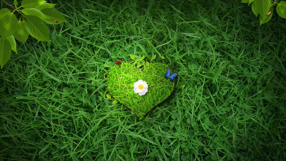 点击大图看下一张：绿色草地小巧爱心背景素材