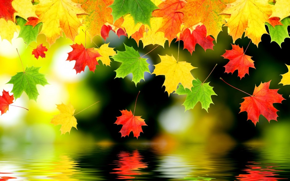 点击大图看下一张：最漂亮的秋天枫叶ppt背景图片