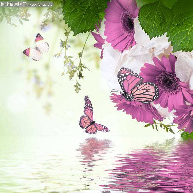 点击大图看下一张：蝴蝶与花唯美意境ppt背景图片