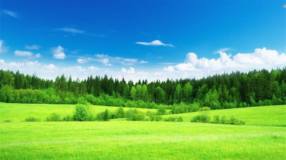 点击大图看下一张：大自然绿色风景高清桌面壁纸