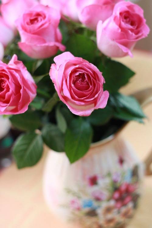 点击大图看下一张：粉色玫瑰高清花卉壁纸赏析