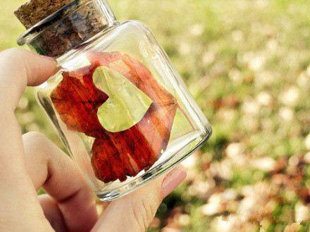 点击大图看下一张：玻璃瓶里的春天梦幻唯美背景精选