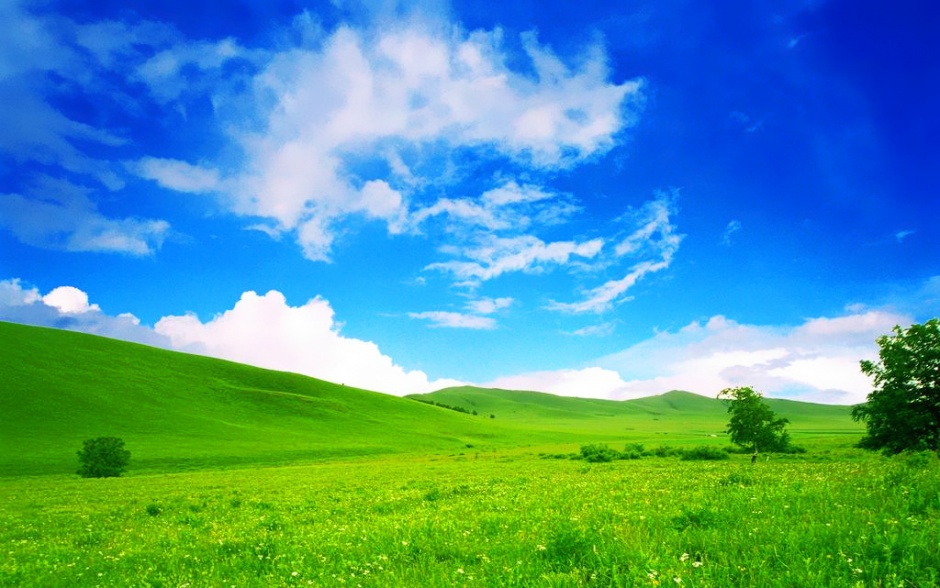 点击大图看下一张：蓝天白云草原风景桌面壁纸