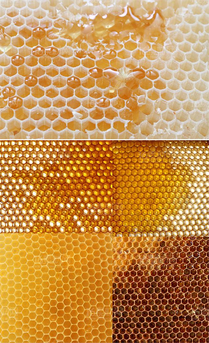 点击大图看下一张：红金黄蜜蜂蜂巢底纹ppt背景图
