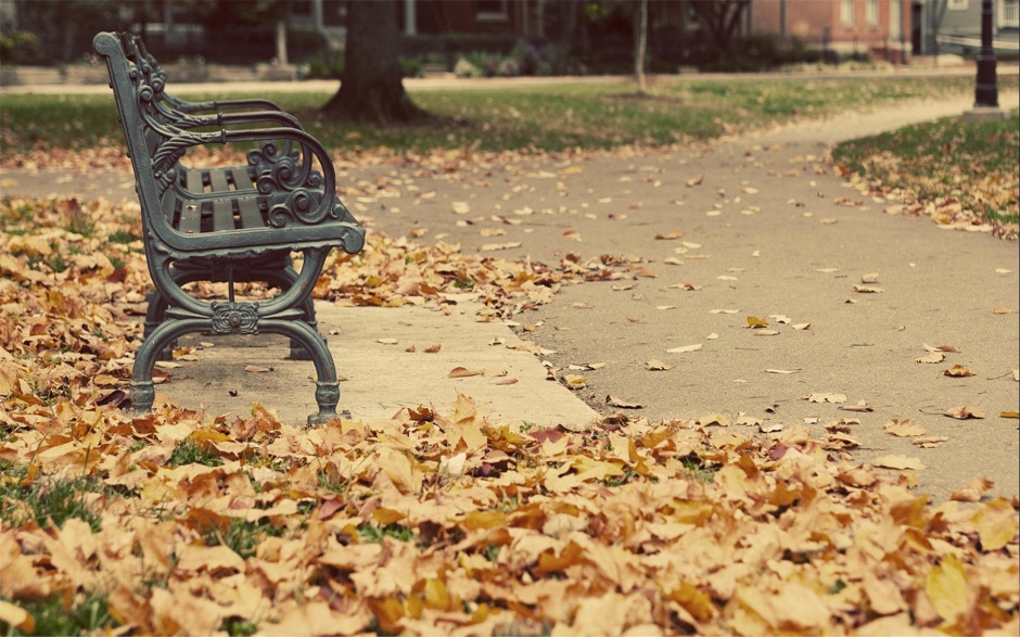 点击大图看下一张：唯美浪漫的秋天公园落叶风景图片壁纸