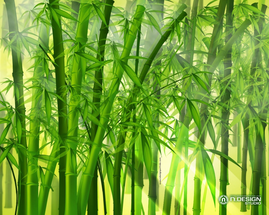 点击大图看下一张：最新绿色植物背景高清图片