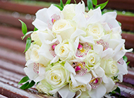 素雅唯美花卉浪漫风景壁纸