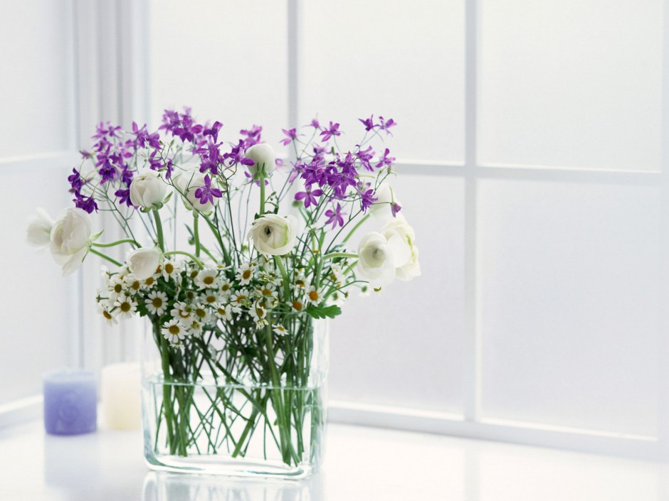 点击大图看下一张：高清室内小清纯花朵桌面壁纸