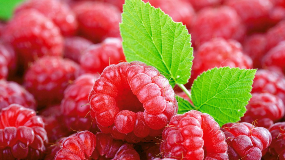 点击大图看下一张：精美壁纸树莓水果美食图片大全