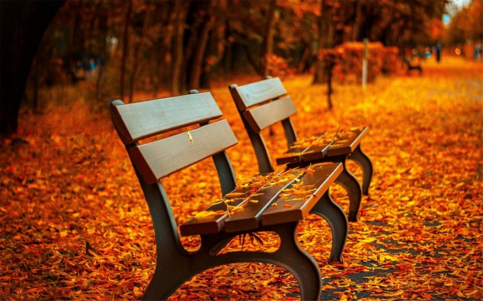 点击大图看下一张：秋天的树叶风景桌面壁纸