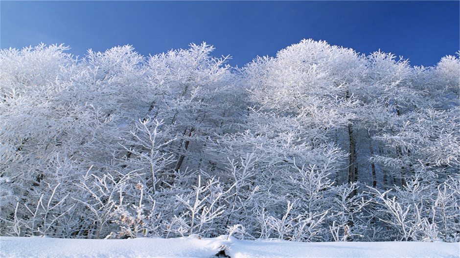 点击大图看下一张：冬季唯美护眼雪景电脑桌面壁纸