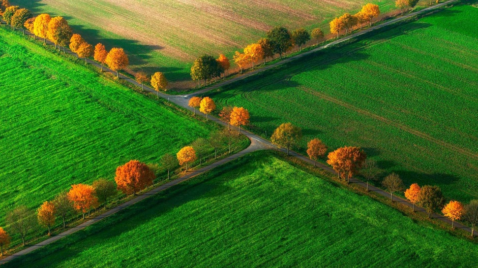 点击大图看下一张：秋天的田野风景桌面壁纸