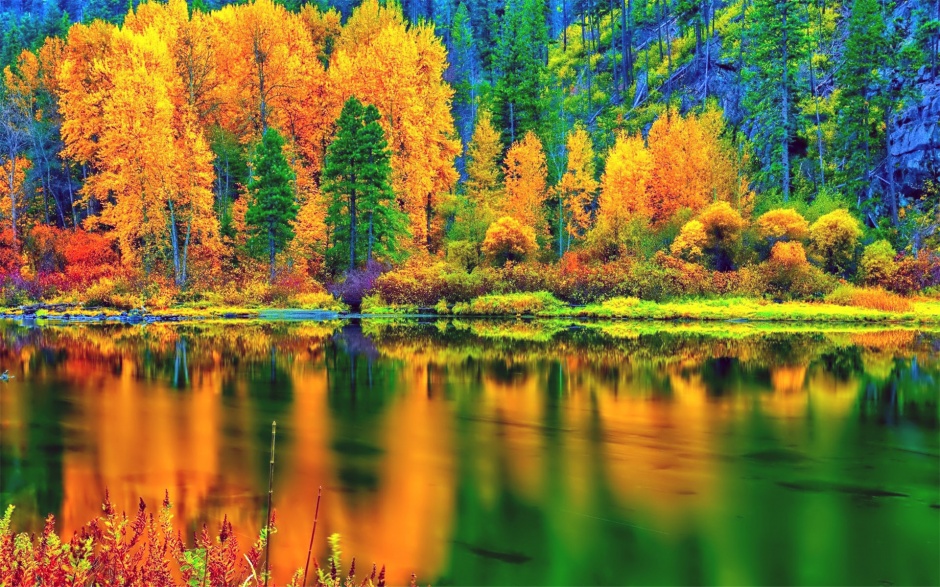 点击大图看下一张：浪漫秋天金色落叶风景壁纸