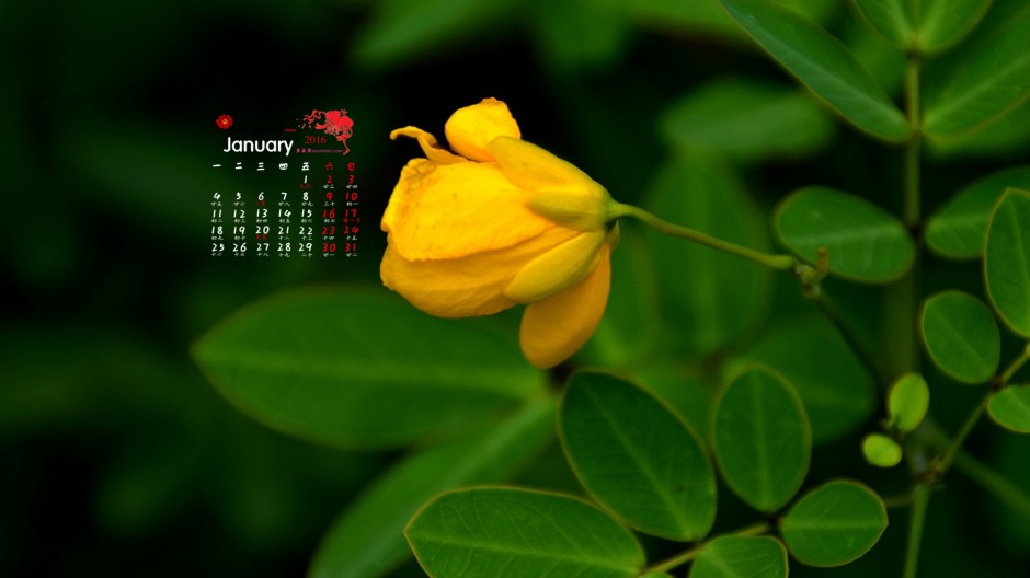 点击大图看下一张：有日历的小清新花卉桌面壁纸