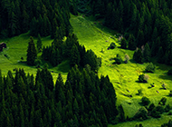 瑞士绿色养眼风光高清桌面壁纸