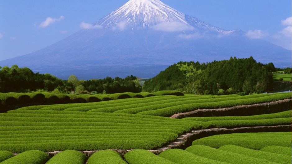 点击大图看下一张：日本富士山风景电脑壁纸