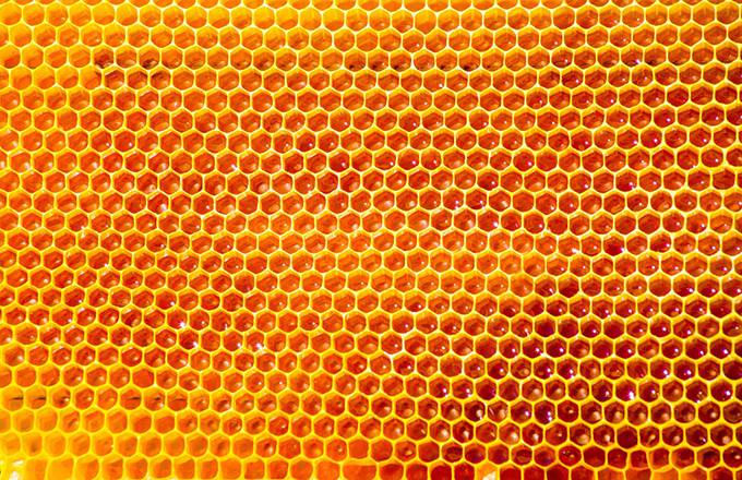 点击大图看下一张：金色蜂巢蜜糖花纹背景图片
