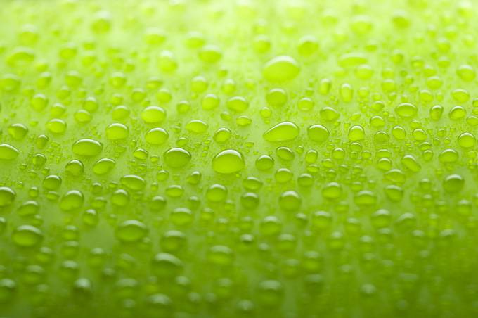 点击大图看下一张：ppt背景图片淡雅绿色水珠摄影