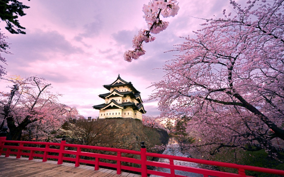 点击大图看下一张：粉嫩的日本樱花唯美花卉壁纸图片