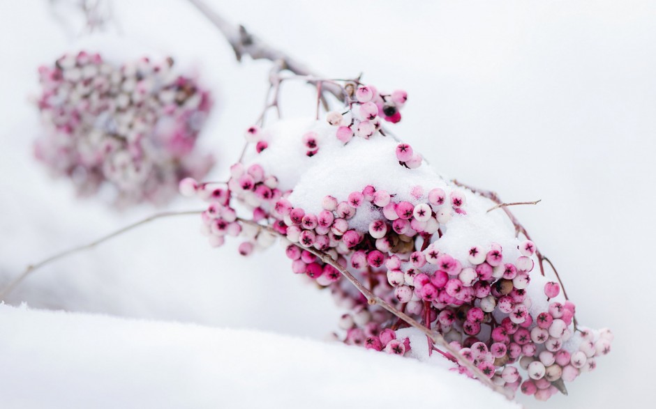 点击大图看下一张：雪景唯美冬季风情精美桌面壁纸