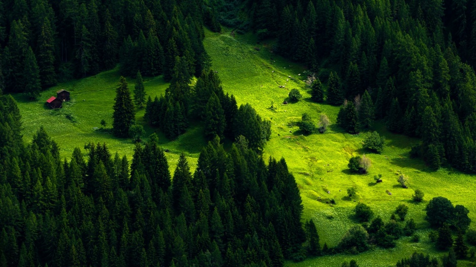 点击大图看下一张：瑞士绿色养眼风光高清桌面壁纸