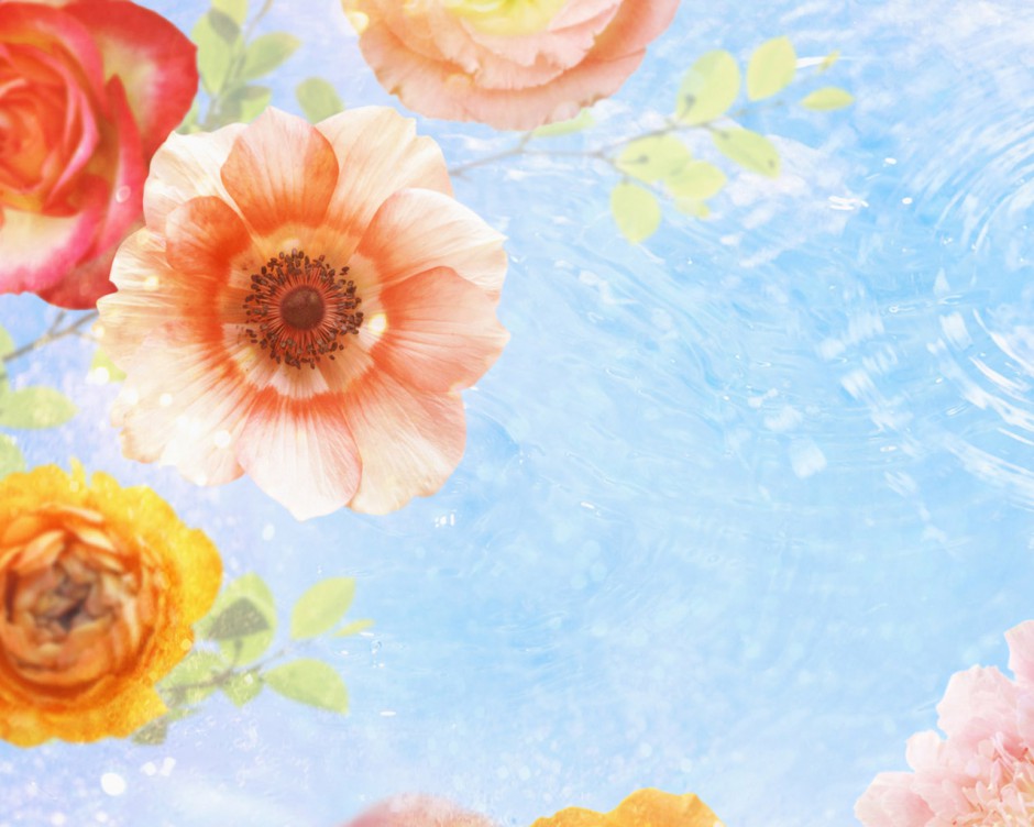 点击大图看下一张：梦幻高清宽屏花卉桌面壁纸