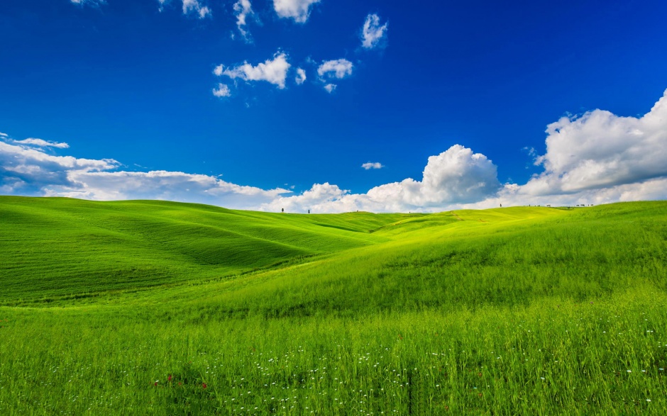 点击大图看下一张：蓝天白云下的草原风景电脑桌面壁纸