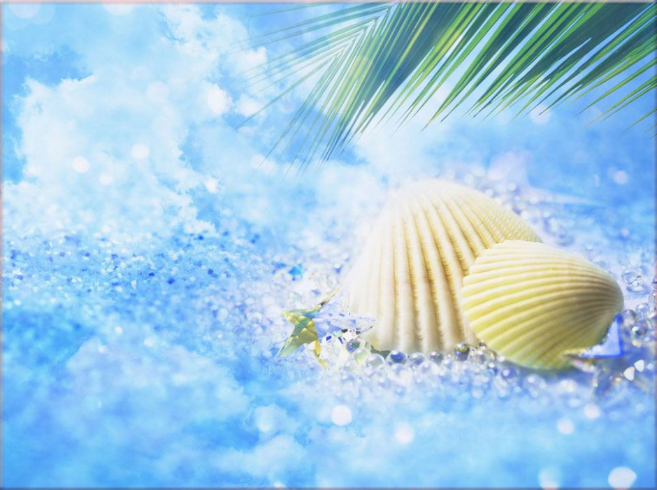 点击大图看下一张：沙滩贝壳浪漫素雅风格背景图片素材