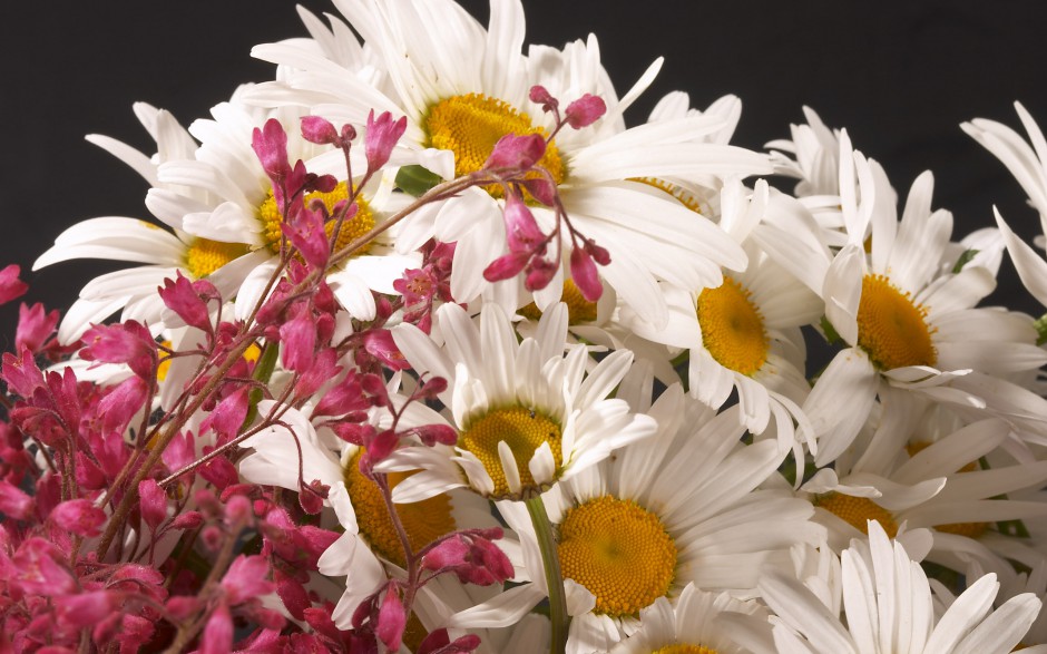 点击大图看下一张：美丽芬芳的超大鲜花经典壁纸