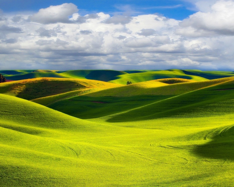 点击大图看下一张：草原风景高清护眼电脑壁纸