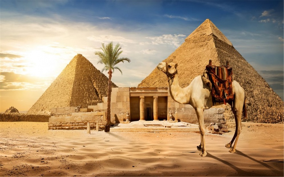 点击大图看下一张：古埃及金字塔和骆驼自然风景壁纸