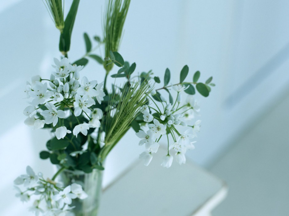 点击大图看下一张：高清室内温馨唯美花朵桌面壁纸