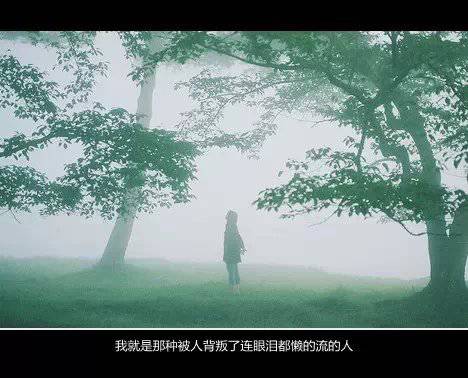点击大图看下一张：唯美文字意境美图精选图集