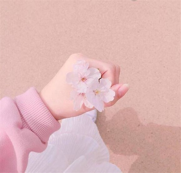 点击大图看下一张：粉色樱花欧美唯美意境图片