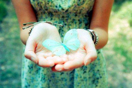 点击大图看下一张：指尖上的蝴蝶唯美意境图片