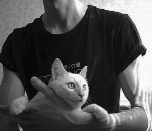 点击大图看下一张：欧美帅气男生黑白抱猫头像图片