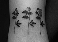创意可爱欧美女生手臂刺青纹身