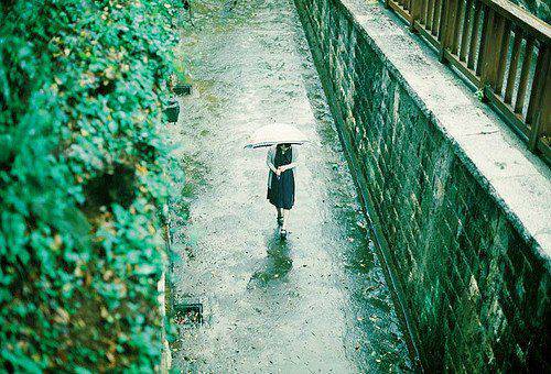 点击大图看下一张:初秋悲伤意境唯美高清图片