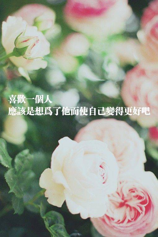 点击大图看下一张：喜欢一个人 非主流意境文字图片