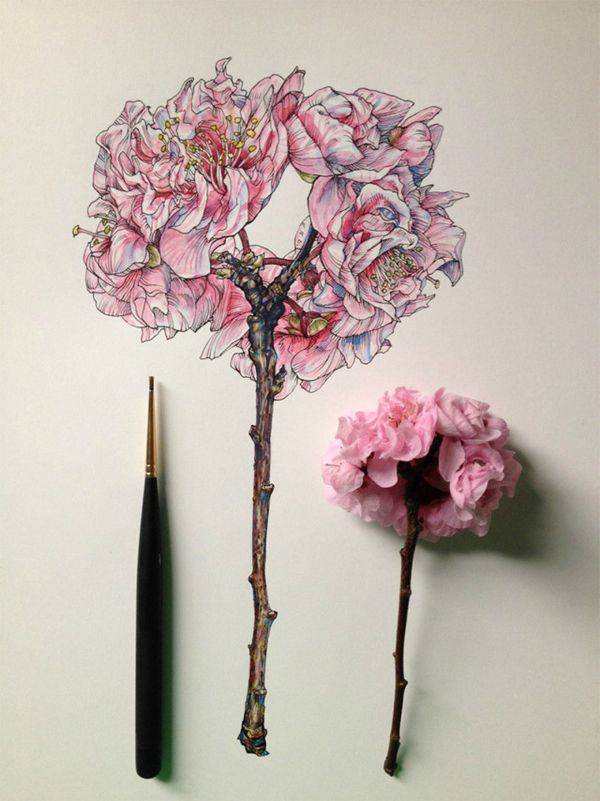 点击大图看下一张：精美手绘花卉创意高清大图