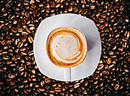新鲜的咖啡豆图片素材